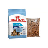 Royal Canin Maxi Starter Mother & Babydog Food