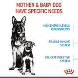Royal Canin Maxi Starter Mother & Babydog Food