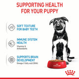 Royal Canin Maxi Puppy