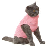 Cat Sweater