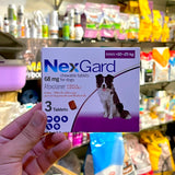Pet Master™NexGard Chewable Tablets for Dogs 68 MG (10 to 25 KG)