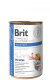 Brit Veterinary Diet Recovery Tin with Salmon for Cats and Dogs 400g