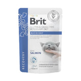Brit Veterinary Diet Recovery for Cats Pouch – Salmon 85g
