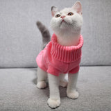 Cat Sweater