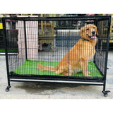 Folding Iron cage - with grass carpet