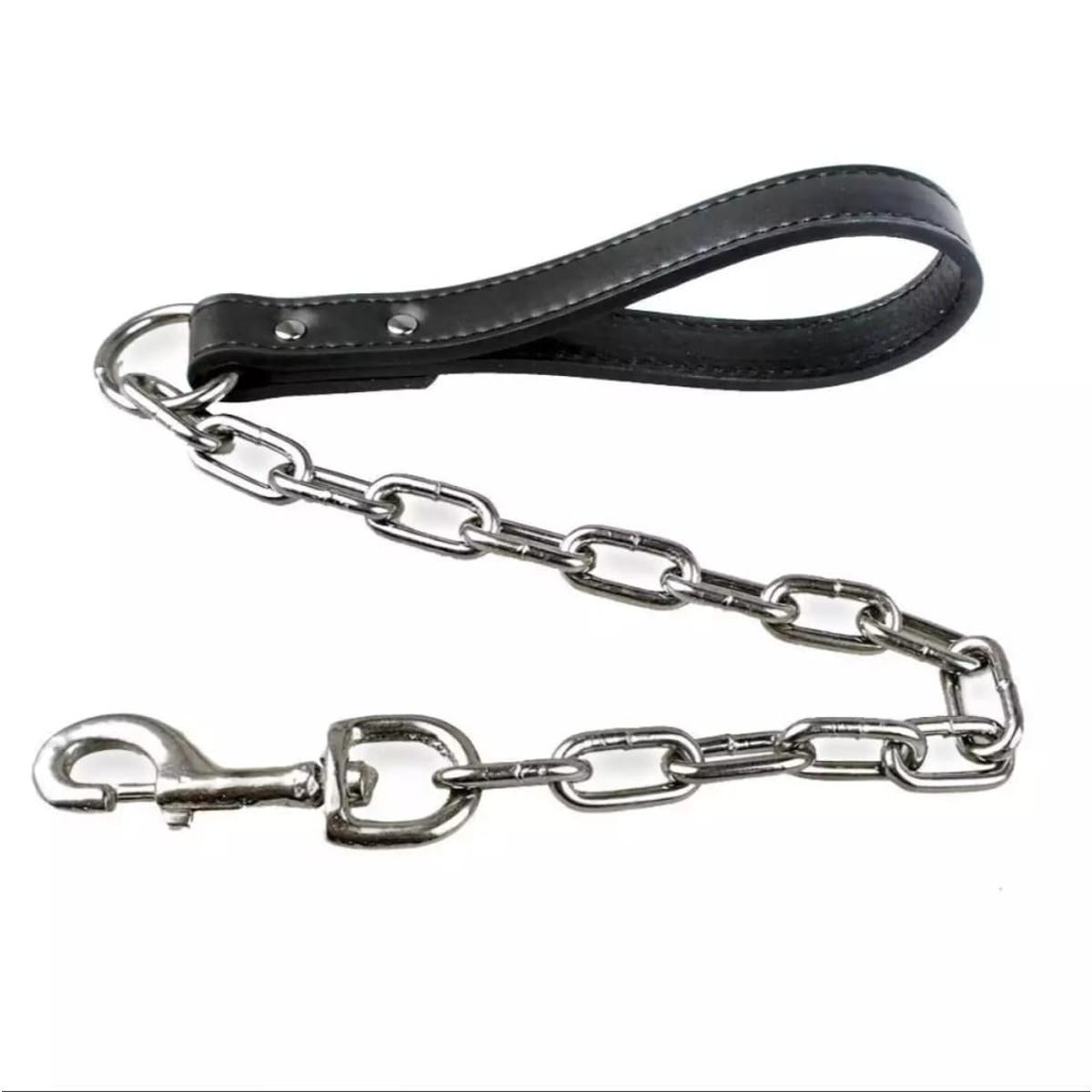 Heavy Chain Leash