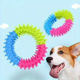 Ring Toy for Pets