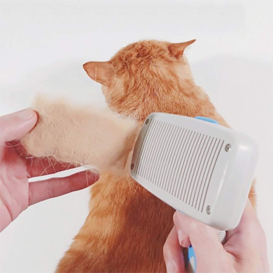 High Quality Button Brush for Cats and Dogs