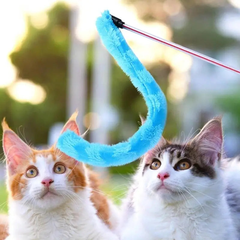 Cat Playing Feather Stick