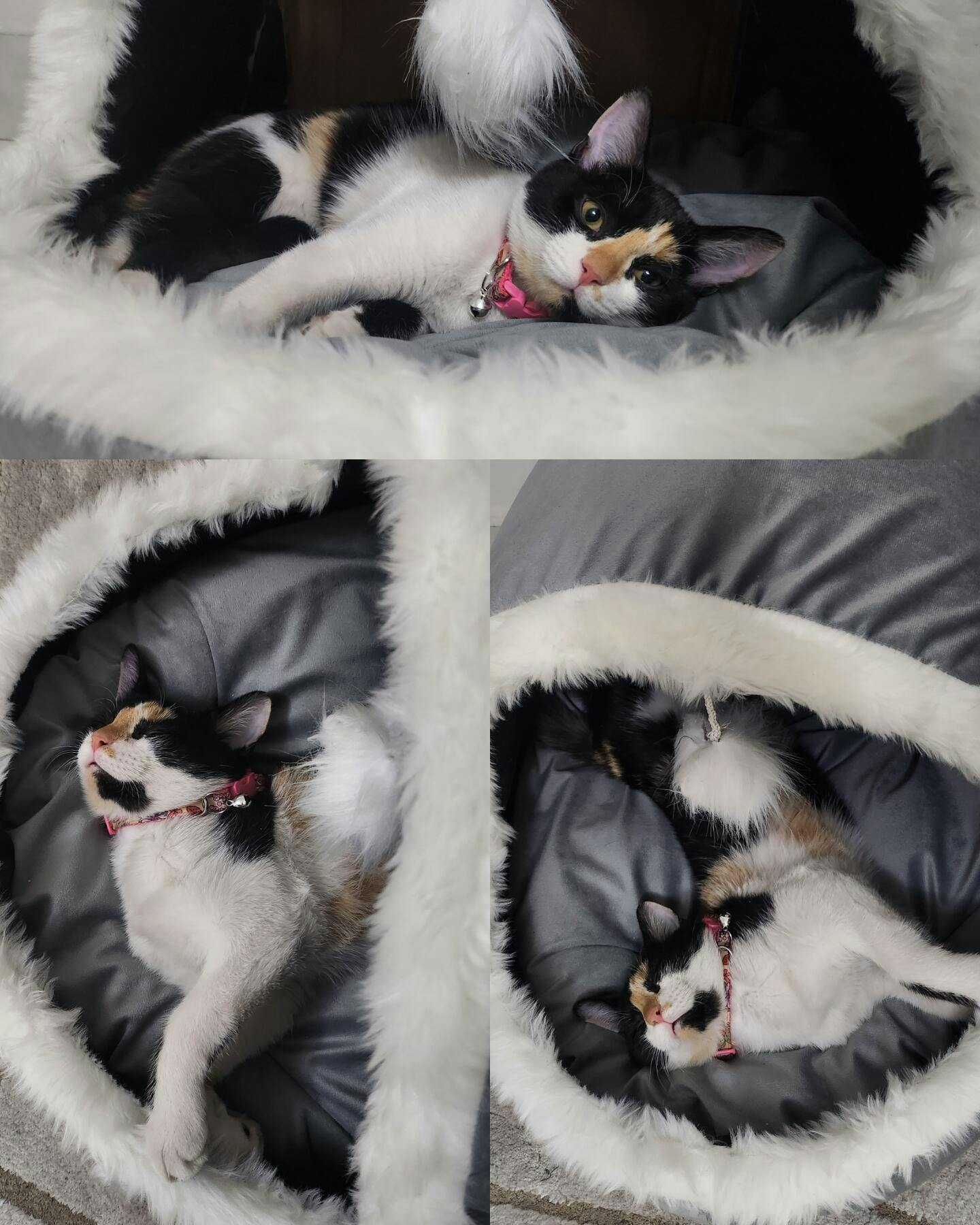 Igloo Bed for Pets