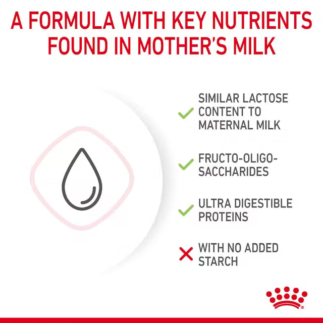Royal Canin Kitten Milk Replacer – 300g