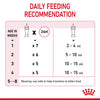Royal Canin Kitten Milk Replacer – 300g