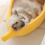 Banana House for Cats & Dogs