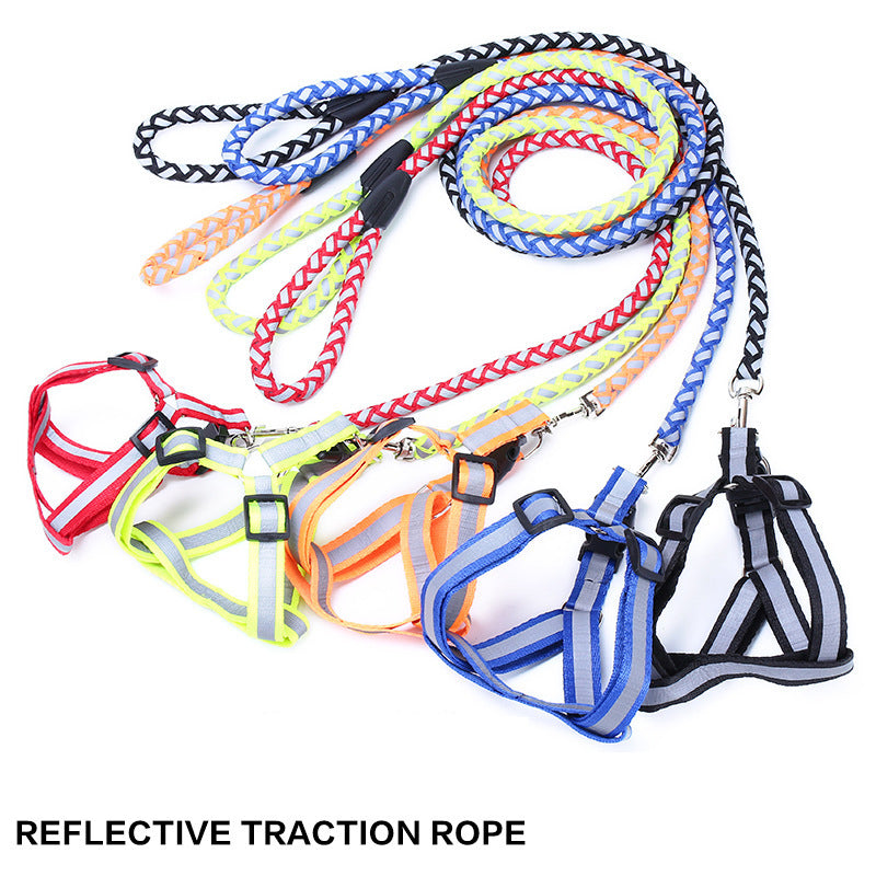 Square Multi Colour Leash With Harness