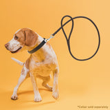 Round Imported Leather Leash