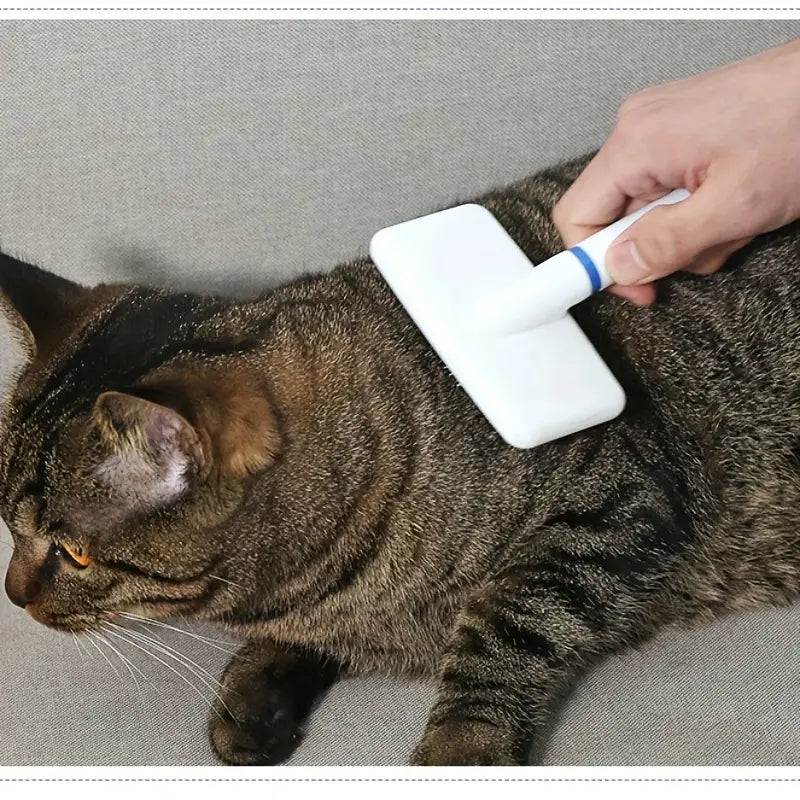 Plastic White Brush for Cats and Dogs