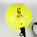 Bite-proof Interactive Training Soccer Ball For Pets