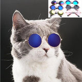 Glasses for Cats & Dogs