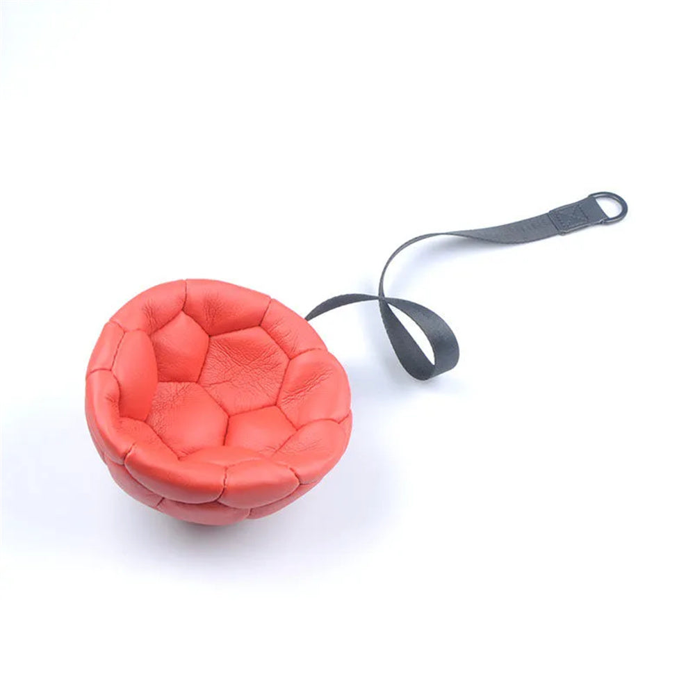 Bite-proof Interactive Training Soccer Ball For Pets