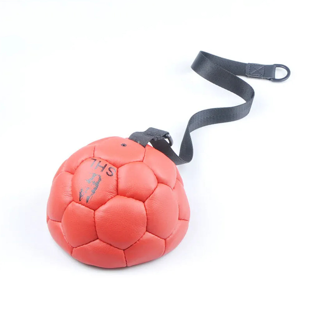 Bite-proof Interactive Training Soccer Ball For Pets