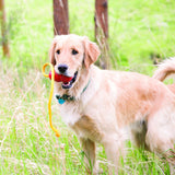 Dog Kong Toy With Rope