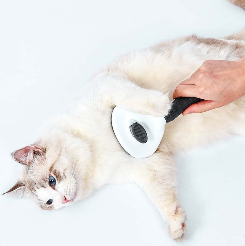 Round Button Brush for Cat and Dog