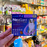 Pet Master™NexGard Spectra 75 mg/15 mg Chewable Tablets for Dogs (15-30 kg)