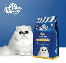 Pet Mommy For Cat