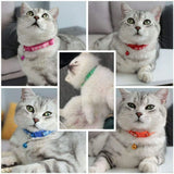 Adjustable Cat Bell Collar