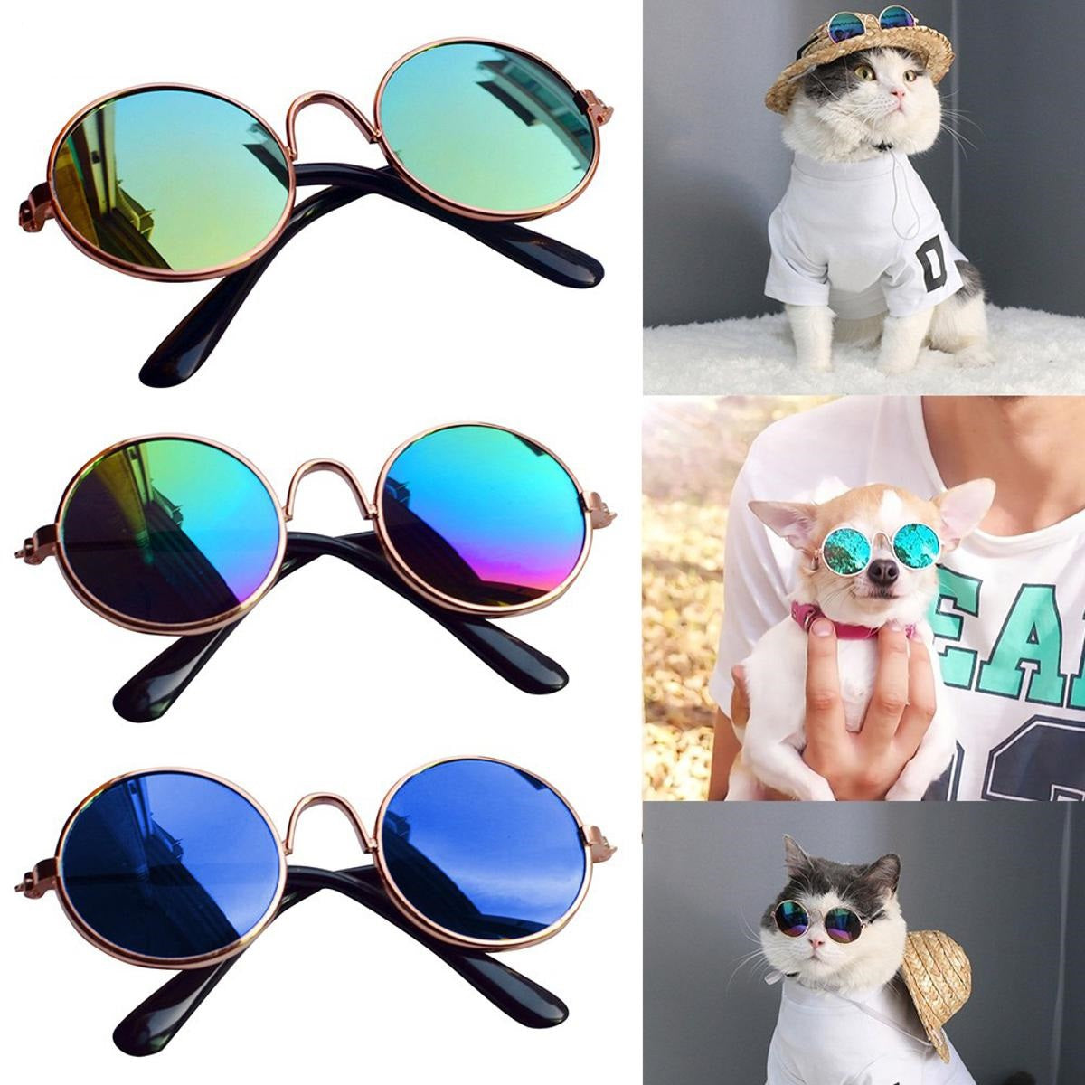 Glasses for Cats & Dogs