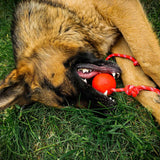 Red Hard Ball With Rope For Pets