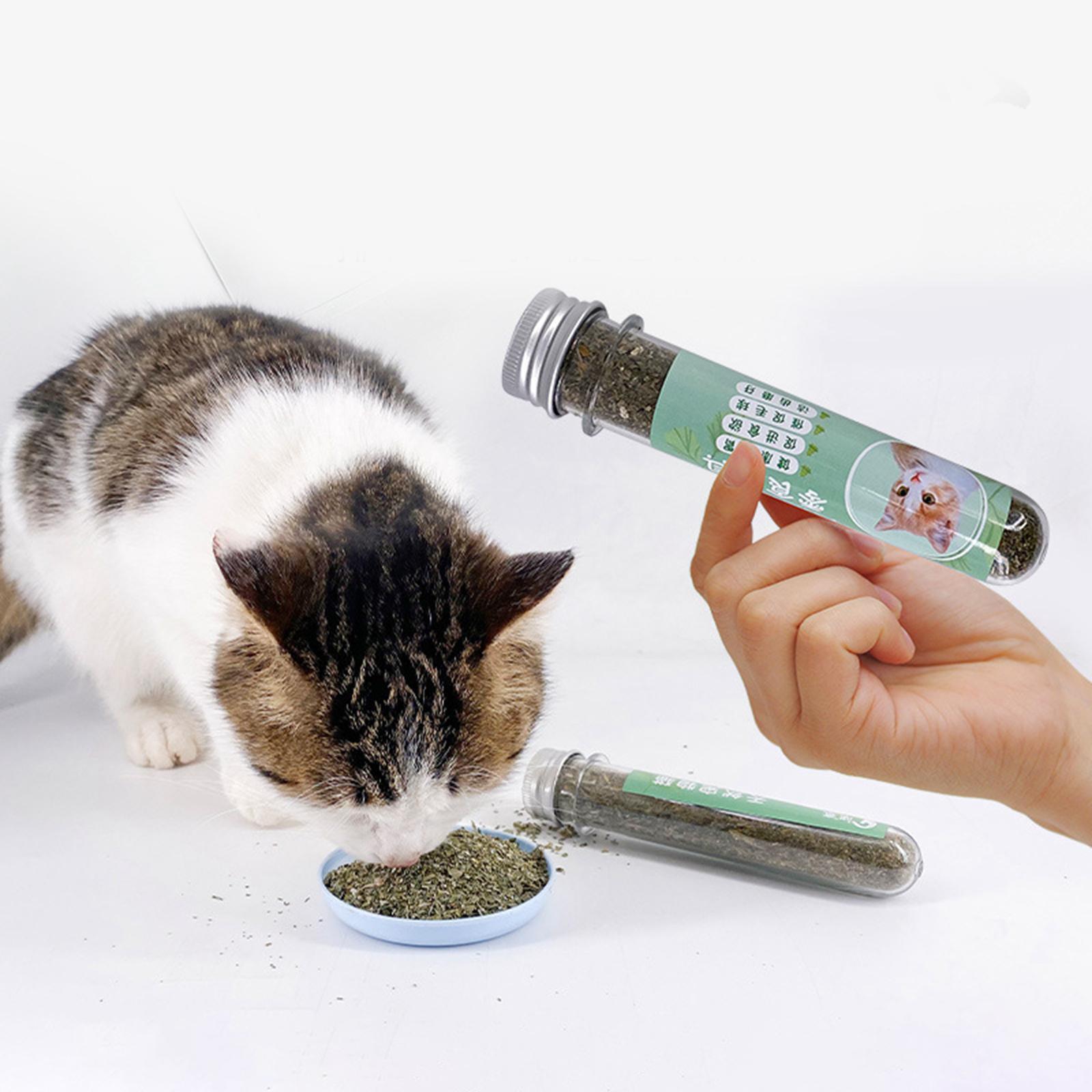 Cat Nip Herb